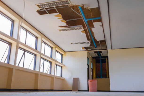 Best Mold removal after water damage  in Lagrange, OH