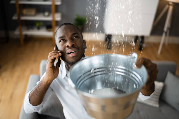 Best Water damage restoration cost  in Lagrange, OH