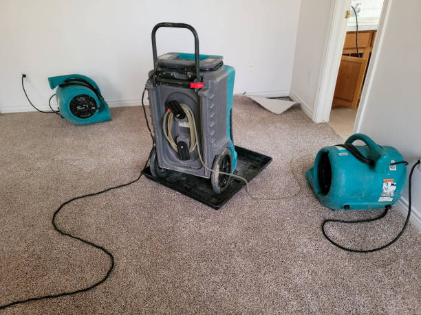 Best Mold removal after water damage  in Lagrange, OH