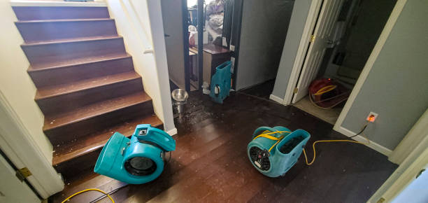 Best Water damage cleanup near me  in Lagrange, OH