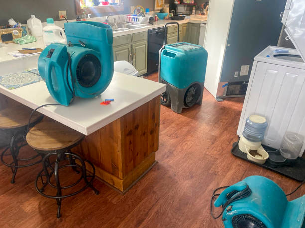 Best Water damage cleanup near me  in Lagrange, OH