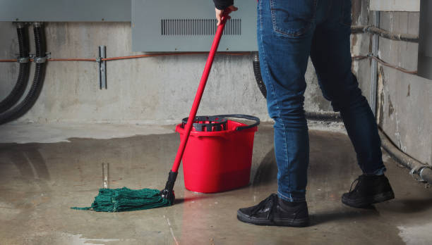 Best Fire Damage Restoration  in Lagrange, OH