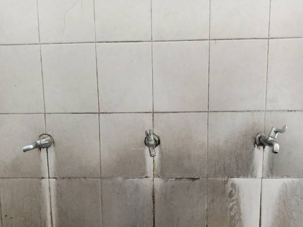 Best Water damage restoration experts  in Lagrange, OH