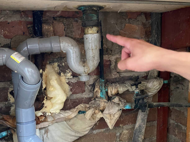 Best Flood damage cleanup  in Lagrange, OH