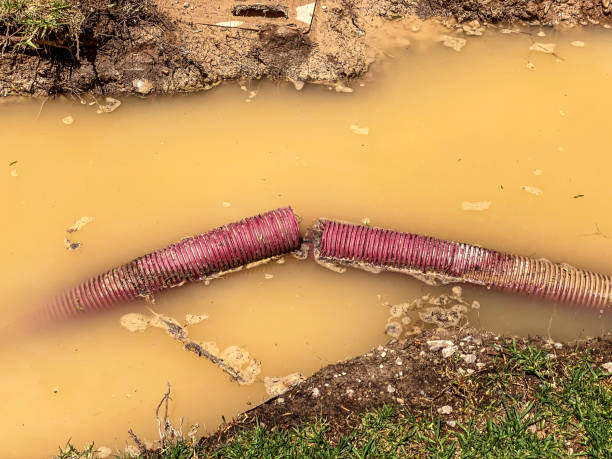 Best Water damage restoration near me  in Lagrange, OH
