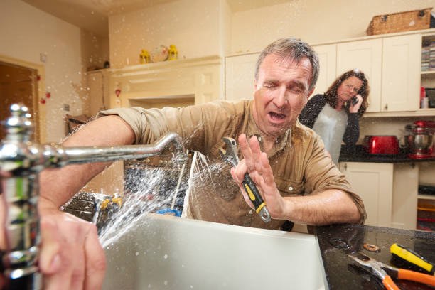 Best Flood damage cleanup  in Lagrange, OH